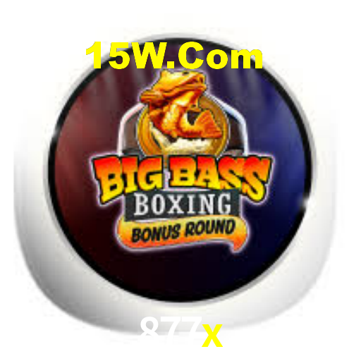 Daily Bonuses 877x